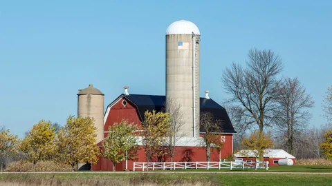 Rote Scheune mit Silos und Bäumen im Herbst.