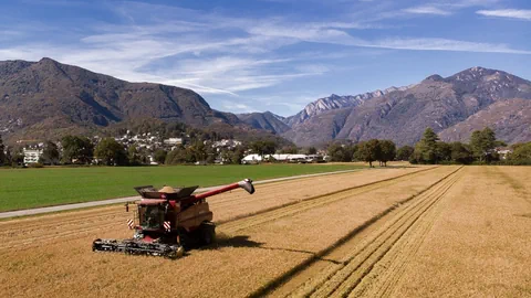 Mähdrescher erntet Reisfeld vor Berglandschaft.