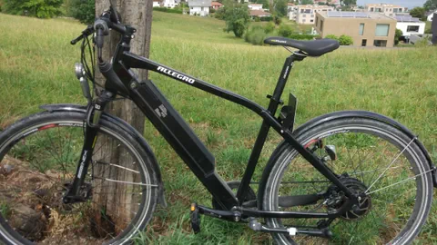 e-Bike an einen Baum abgestellt