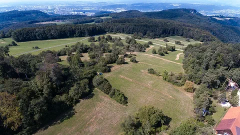 Landschaft mit Hecken