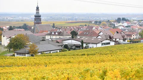 Kallstadt in Deutschland