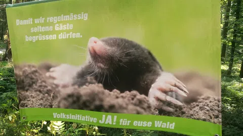 Maulwurf auf Plakat