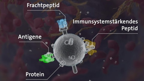 Eine Illustration davon, wie die Impfstoffplattform funktioniert. 