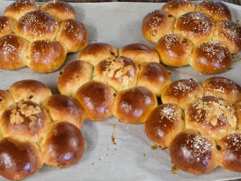 Fünf Dreikönigskuchen liegen gold-braun gebacken auf einem Blech. 