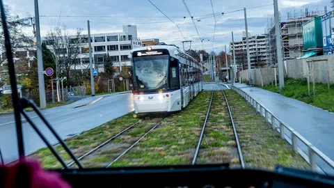 Fotografie aus einem fahrenden Tram, ein entgegenkommendes Tram und ein Bahnübergang sind zu sehen