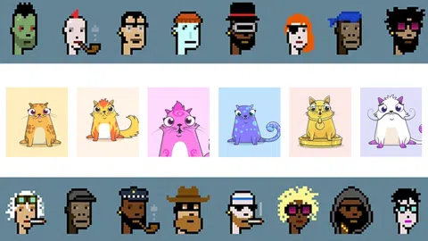 Cryptopunks und Cryptokitties, die Anfänge der NFTs.