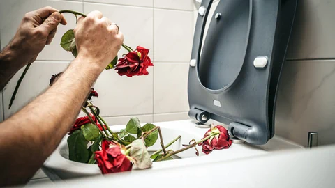 Masnn wirft rote Rosen in die Toilette