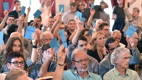 Männer und Frauen heben eine blaue Stimmkarte mit SP-Logo in die Luft