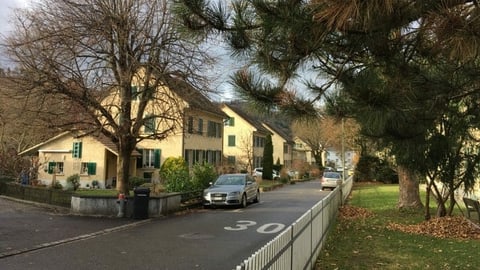 Blick auf die Rietersiedlung in Winterthur