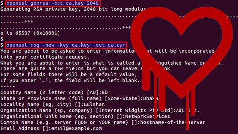 Openssl download. OPENSSL. OPENSSL shifrlash.