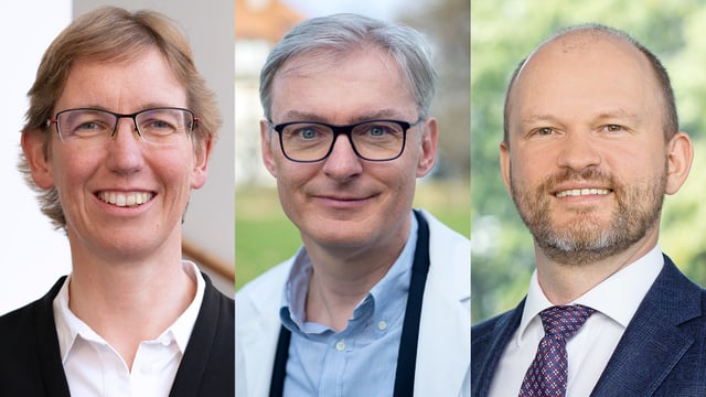 Portraits von Annette Brühl, Gregor Hasler und Maxim Zavorotnyy 