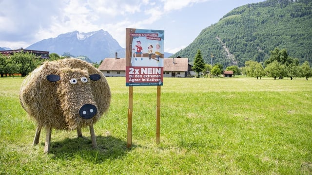 Schild «2x Nein zu Agrar-Initiativen» vor grüner Wiese.