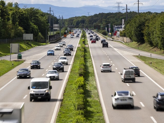 Autobahn mit dichterem Verkehr, umgeben von Bäumen.