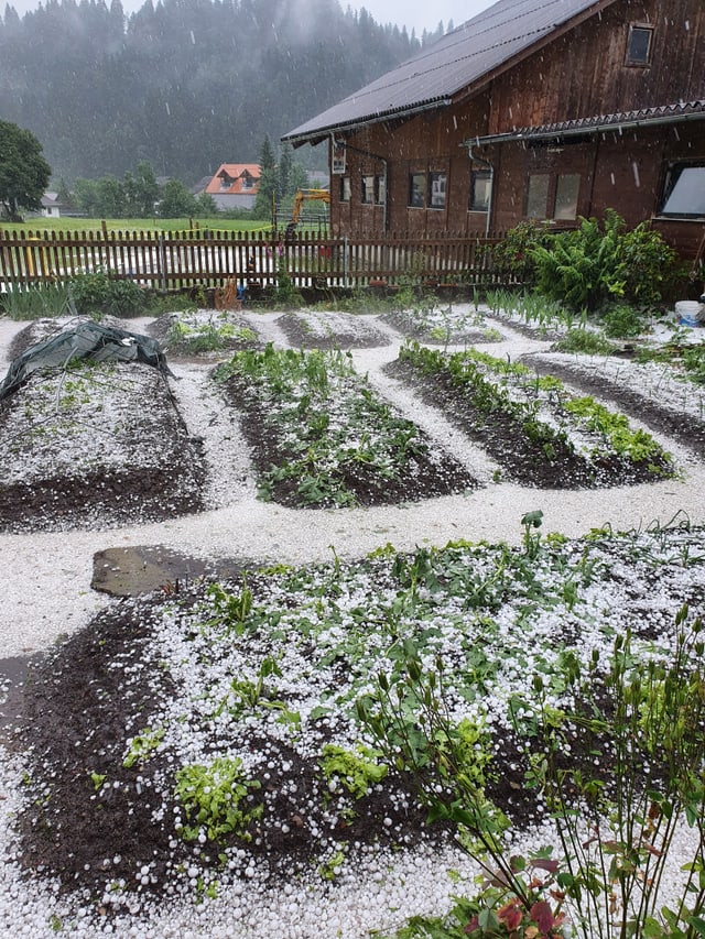 Nach dem Hagelwetter in Röthenbach i.E.