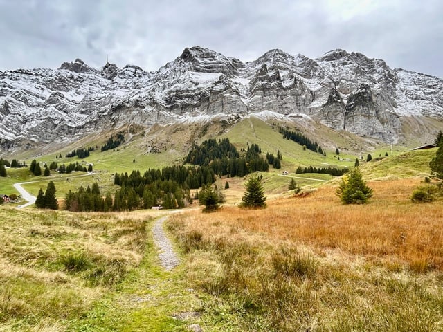 Berglandschaft mit verschneiten Gipfeln und Wiesen.