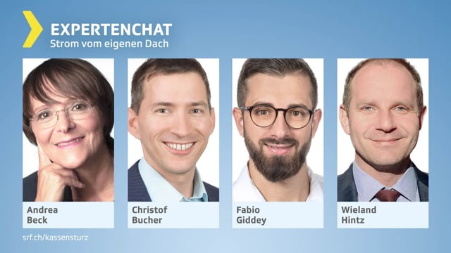 Portraits der 4 Experten