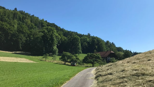 Landstrasse führt durch Wiesen. Rechte Wiese ist gemäht, am linken Rad steht ein Wald, der Himmel ist wolkenlos und mitten im Bild steht ein Bauernhaus.