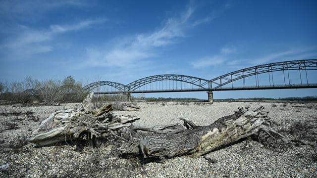 Ausgetrocknetes Flussbett