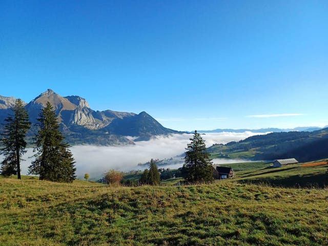 Berglandschaft mit Wiesen, Bäumen und Nebel.