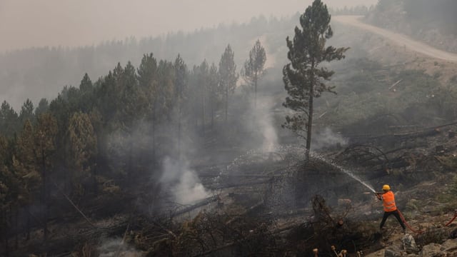 Mann löscht Brand.