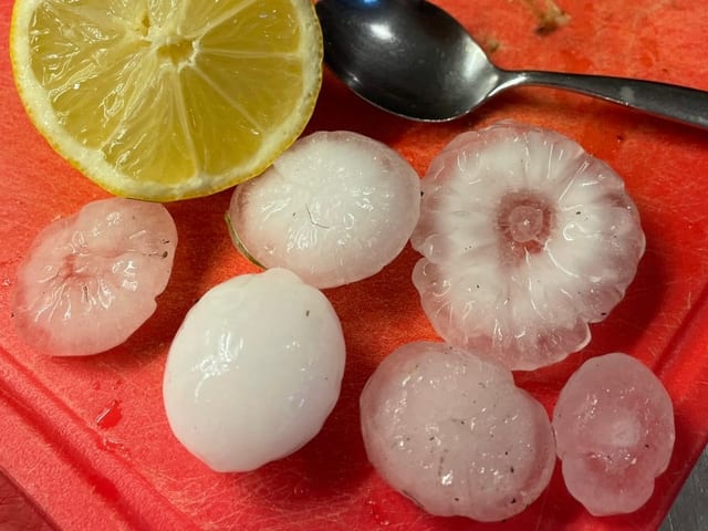 Hagel auf Schneidebrett fast so gross wie Zitronenhälfte.