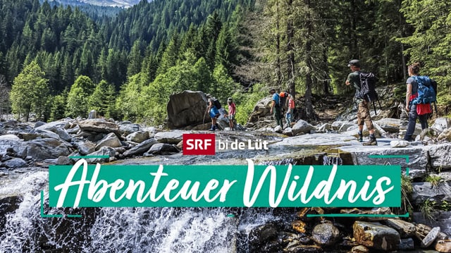 Bachbett mit sechs Menschen die mit auf einer Wanderung dieses überqueren, im Hintergrund ist ein bewaldetes Tal.