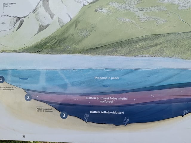 Eine Infotafel zeigt die verschiedenen Wasserschichten im See.