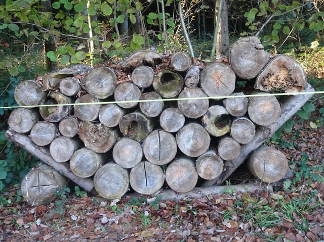 Holzhaufen