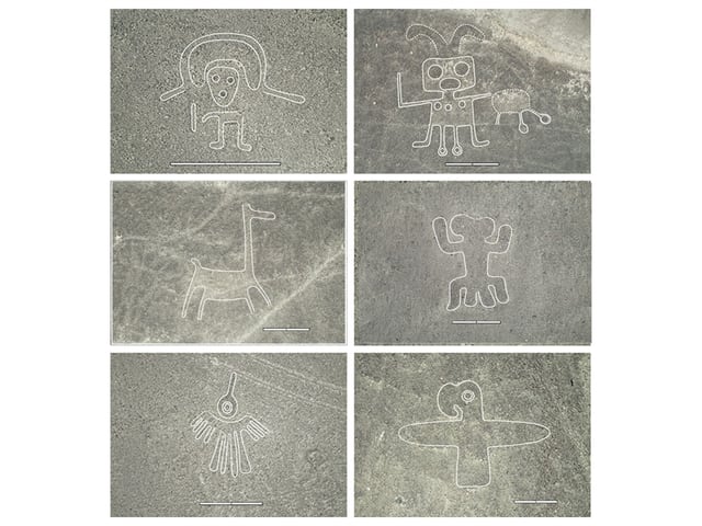 Sechs Nasca-Linien-Glyphen auf grauem Hintergrund.