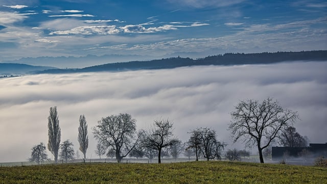 View from the edge of the forest over Nussbaumen over green fields to the sea of ​​mist over the Limmat valley.