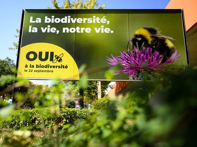 Abstimmungsplakat zur Biodiversitäts-Initiative mkit einer Biene.