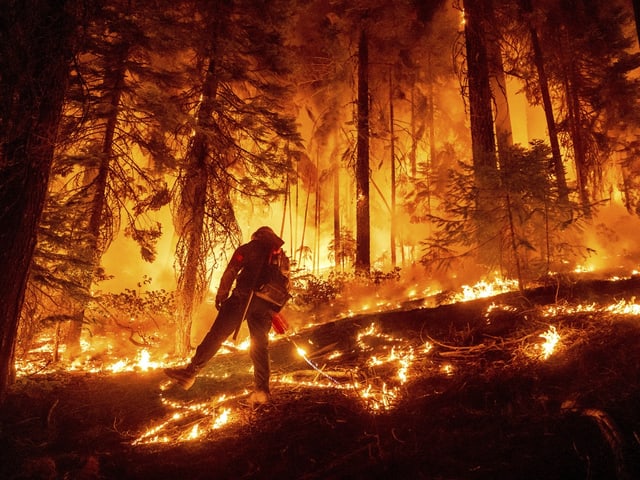 Feuerwehrmann bekämpft Waldbrand im Wald.