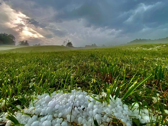 Hagelkörner auf einem Feld