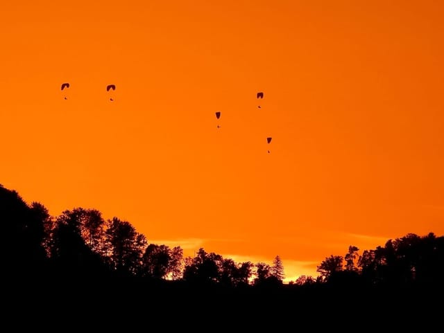 Gleitschirme über dem Uetliberg bei orangem Himmel. 