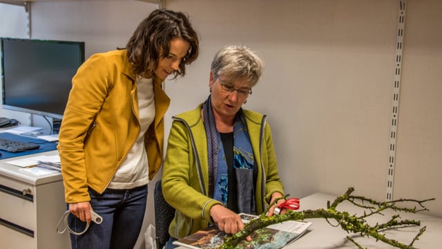 Flechtenkunde mit Frau Silvia Stofer, Biologin und Flechtenexpertin.