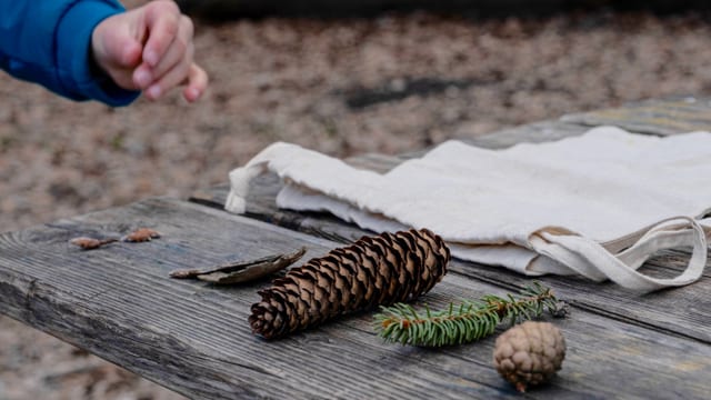 Naturmaterialien und Kinderhand