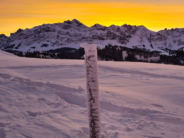 Colored sky behind the Säntis.