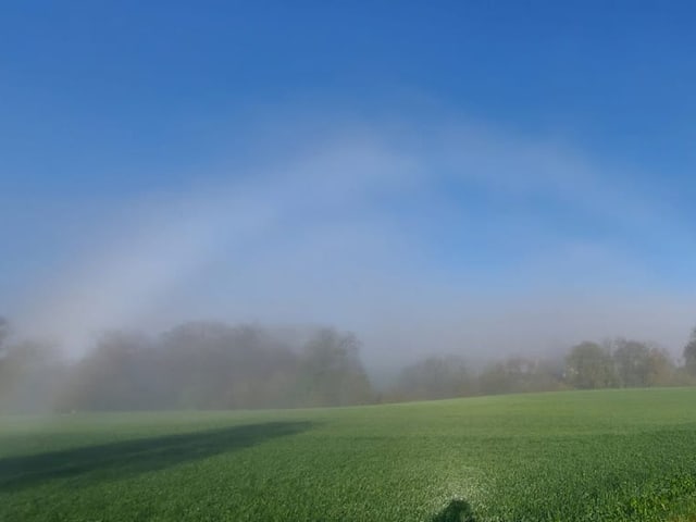 Heute Morgen aufgenommen