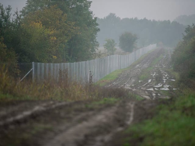 Metallzaun im Nebel, drumherum Bäume und Dreck.