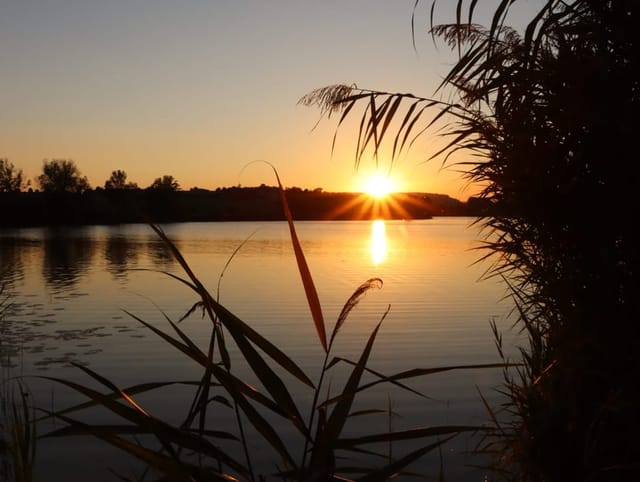 Die letzten Sonnenstrahlen am Moossee