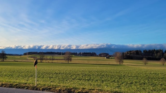 Blick über die grünen Felder bei Bleienbach.