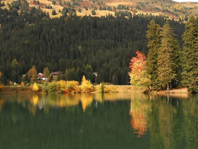 Herbstliche Landschaft mit See, Bäumen und Hügeln.