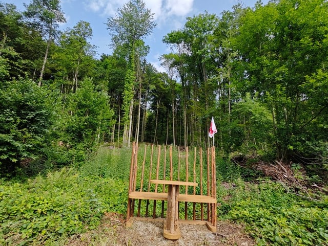 Holzbänkli am Waldrand