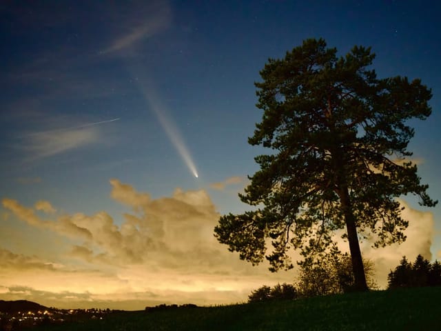 Baum unter Nachthimmel mit Komet und Wolken.