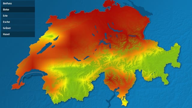 Rekordverdächtiger Pollenflug - Pollen belästigen Schweizer - Meteo - SRF