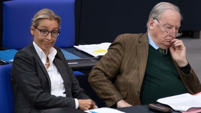  Alice Weidel und Alexander Gauland