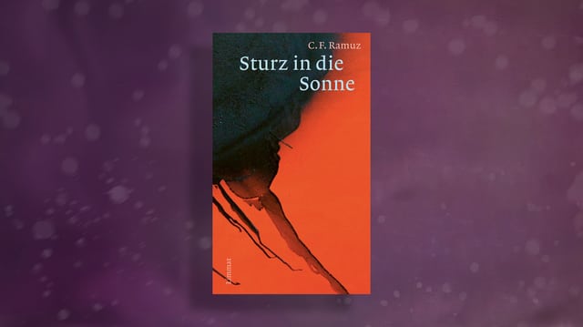 violetter hintergrund, drauf rotes buchcover mit schwarzen rissen.