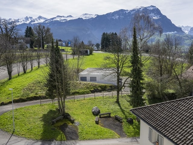 Landschaft mit Bergen, grüner Wiese und Bäumen.