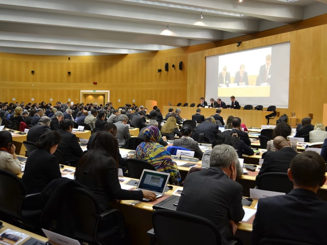 Im Konferenzsaal. Viele Menschen sitzen auf ihren Stühlen, vorne spricht jemand am Rednerpult.