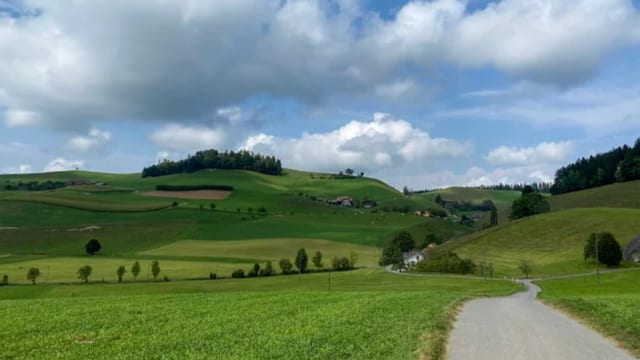 Grüne Hügel, eine Landstrasse, blauer Himmel mit ein paar Wolken.